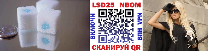 OMG онион  Буйнакск  Лсд 25 экстази ecstasy 
