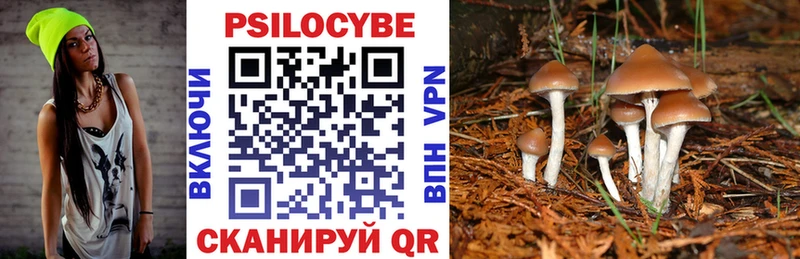 blacksprut как зайти  сайты даркнета формула  Галлюциногенные грибы прущие грибы  Буйнакск 